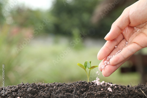 hand of a farmer giving fertilizer to young green plants / nurturing baby plant with chemical fertilizer on green bokeh background