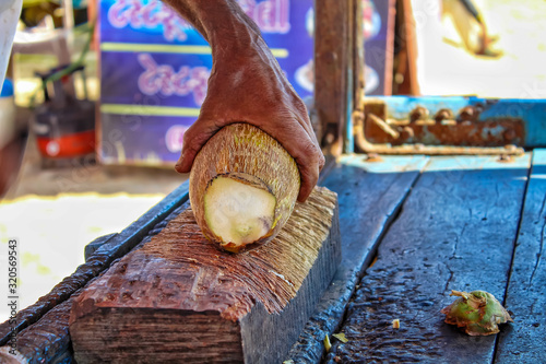 coconut selection for cutting,The man using heavy knife to chop green fresh coconut from the tree,coconut cutting