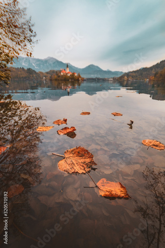 Autumn leaves at lake Bled