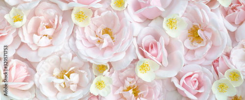 Summer blossoming roses and jasmine. Blooming flowers spring background. Fragrant bouquet. Flower card. Pastel colors. Holiday backdrop. Widescreen.