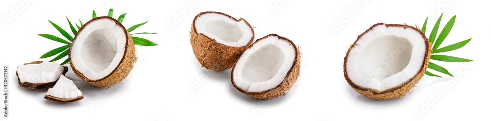 coconut with leaves isolated on white background. Set or collection coconut with leaves isolated on white background. Set or collection