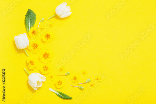 spring flowers on yellow background © Maya Kruchancova