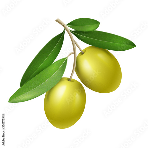Vector realistic olive branch with two green olives