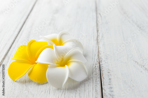 ハワイ アドビストックのデザイン かべいろ Com おしゃれ壁紙リフォーム貼り替え インクジェット壁紙のかべいろ Com