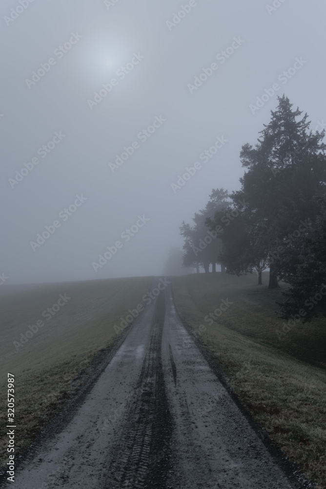 A two track dirt road leading into the horizon on a very foggy, misty morning.