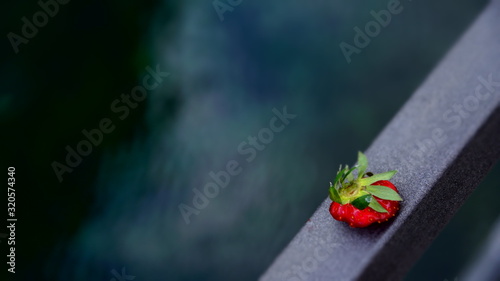 Obraz na płótnie Strawberry w salonie