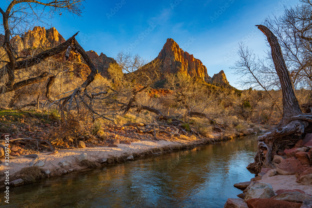A Stag Towers Over The Wtchman and the Virgin River