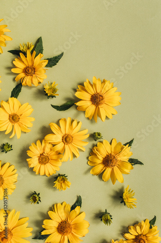 Flat lay yellow daisy flower buds. Top view.