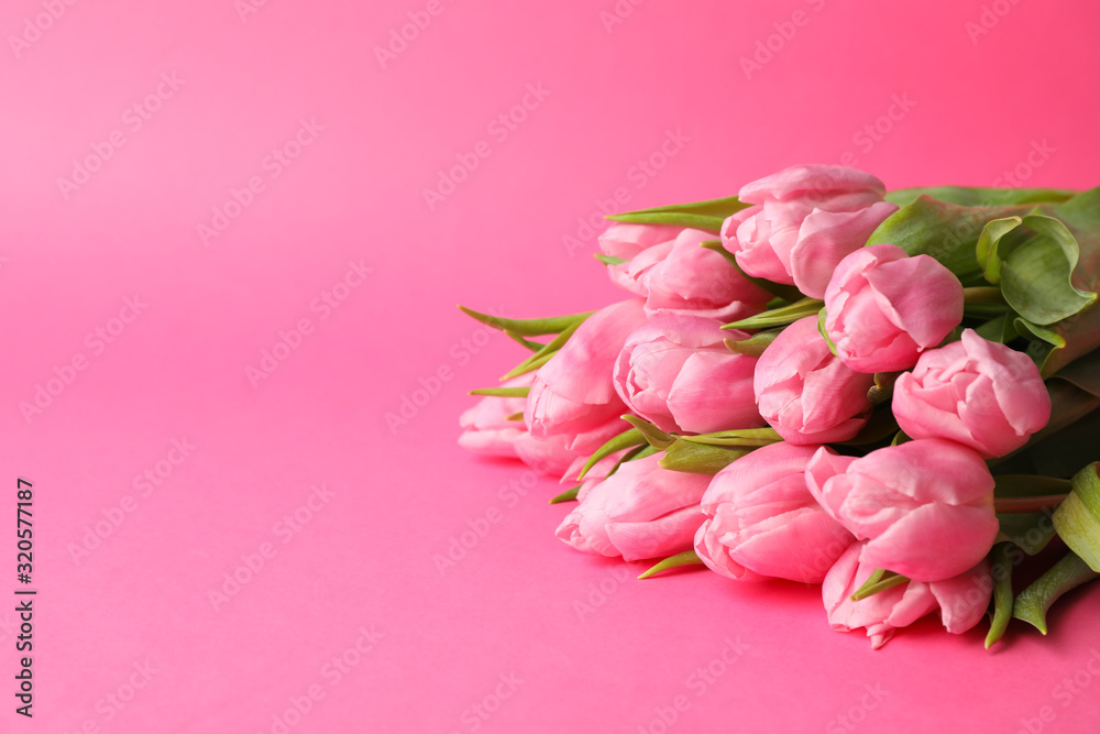 Bouquet of pink tulips on pink background, space for text Bouquet of pink tulips on pink background, space for text