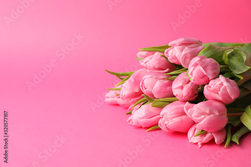 Bouquet of pink tulips on pink background, space for text