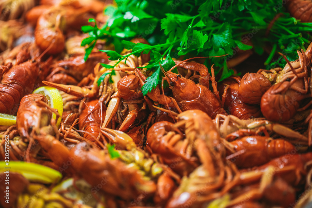 Closeup view photography of boiled red crayfish on white plate on table at restaurant. Closeup view photography of boiled red crayfish on white plate on table at restaurant.