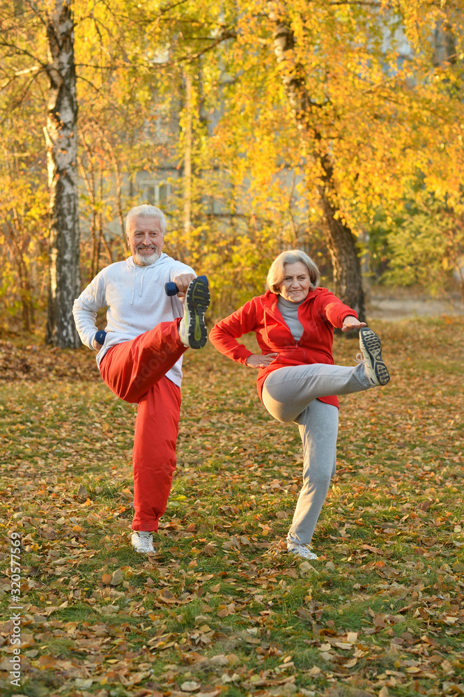 Beautiful caucasian senior couple in the park exercising