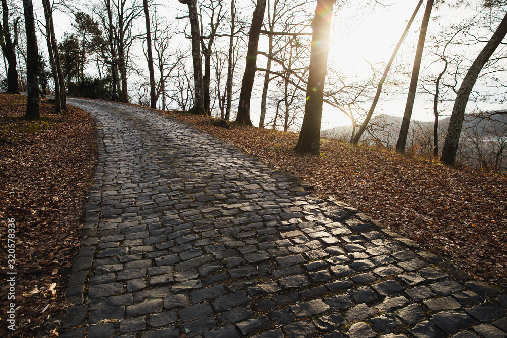 Cobblestone road going down. Sunset in forest. Road of large stones. Spring time.