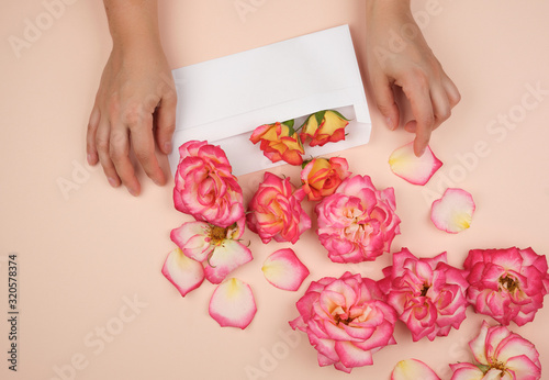 two female hands are holding a white paper envelope in the middle of blooming rose buds