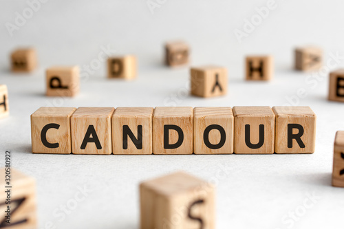 Cuadro en lienzo Candour - words from wooden blocks with letters, honest truth candour concept, w
