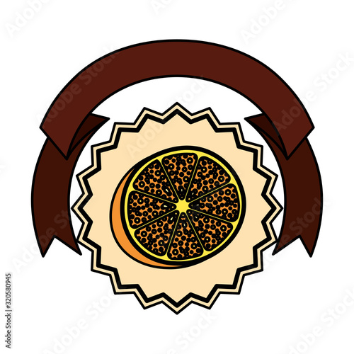 orange citrus fruit with ribbon frame