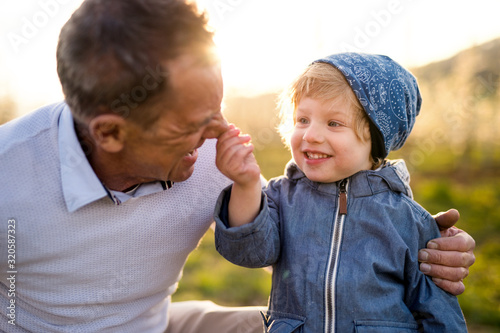 Senior grandfather with toddler grandson standing in nature in spring.
