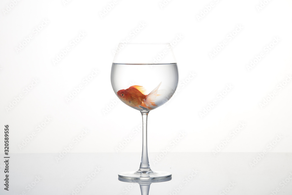 Goldfish in glass isolated on white