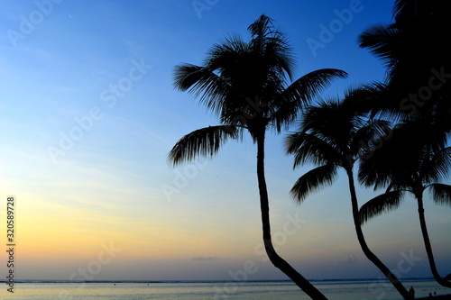 coucher de soleil et cocotiers, océan indien