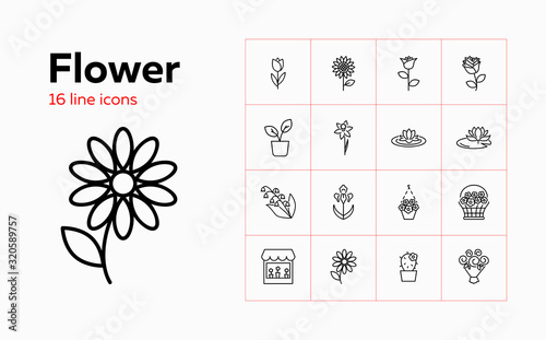Flower icons. Set of line icons on white background. Flower shop, houseplant, flower basket. Floriculture concept. Vector can be used for topics like plants, botany, gardening