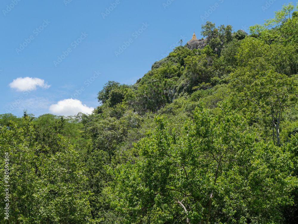 Forest in a mountain and blue sky and temple on the top of hill