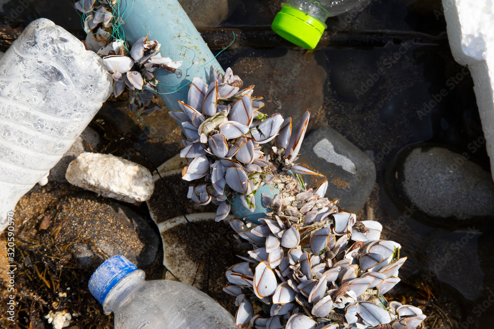 Fototapeta premium garbage16