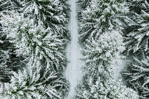 Aerial top view of snow covered forest with winter road. © nblxer