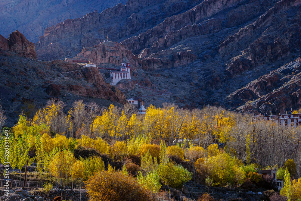 Ancient town on mountain in leh-Ladkh city Ancient town on mountain in leh-Ladkh city