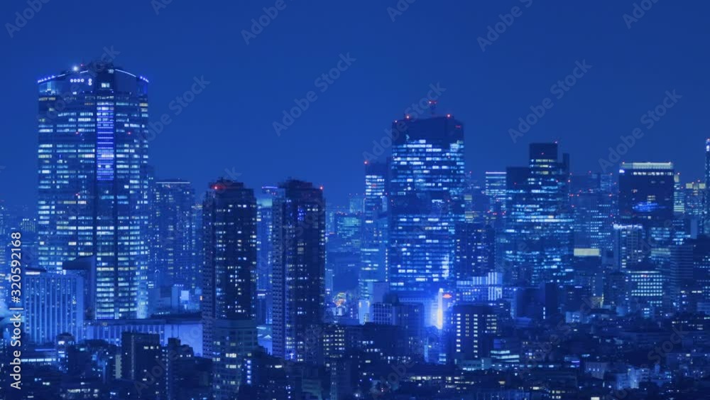 光が溢れる東京の夜景 光が溢れる東京の夜景