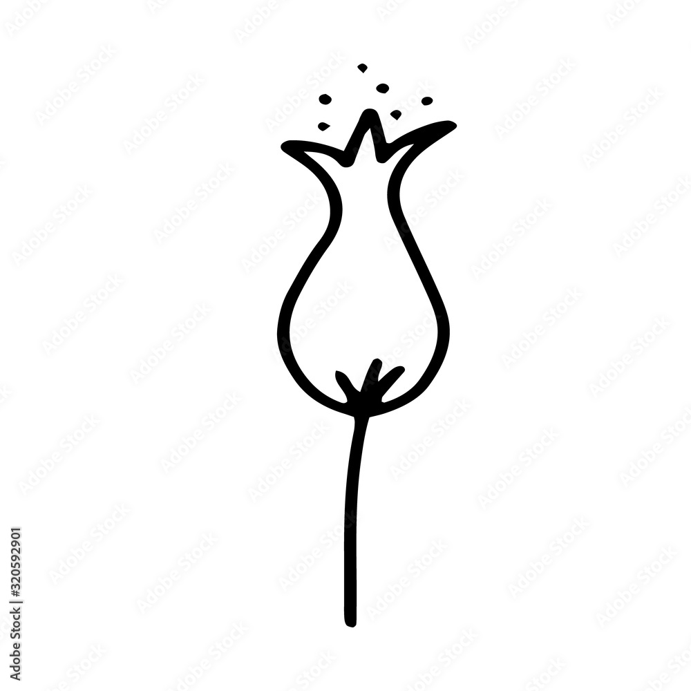 Flower bell outline drawing line. Black and white image.Plants and flowers.Stylized drawing of flowers.Vector Flower bell outline drawing line. Black and white image.Plants and flowers.Stylized drawing of flowers.Vector