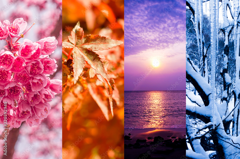 春夏秋冬の背景画像 Stock Photo | Adobe Stock