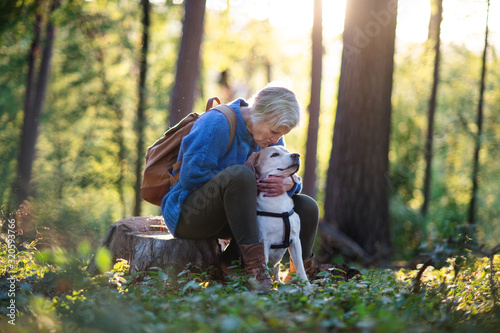 Photography A senior woman with dog on a walk outdoors in forest, resting.