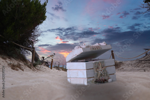 Schatztruhe am Sandstrand mit Möwe photo