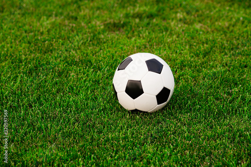 Soccer ball on the grass before the game © oksix