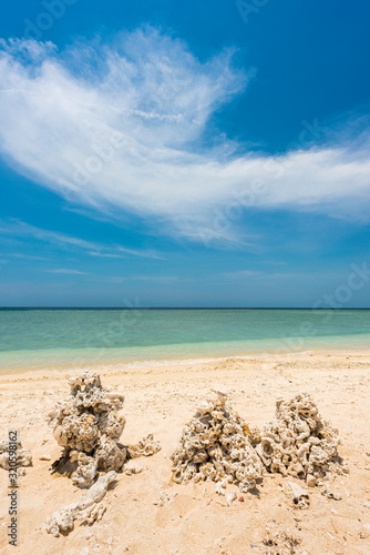 Strand mit einer Korallenskulptur auf Bali, Indonesien