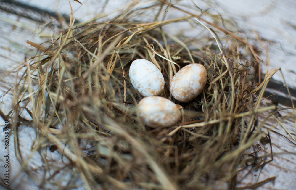 gniazdo jajka easter święta wielkanoc eggs gniazdo jajka easter święta wielkanoc eggs