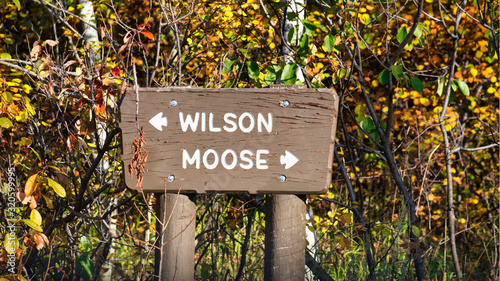 wilson moose road crossing sign grand teton national park