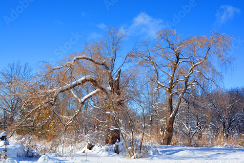 Winter landscape road in Bromont mountain , Eastern township  Quebec, Canada photo