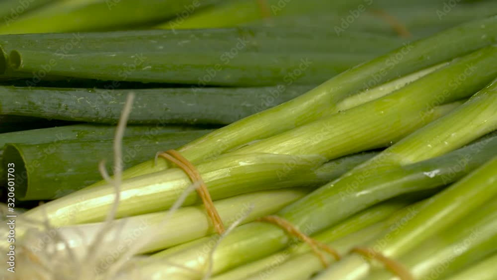Close Up of Tied Fresh Spring Onions Close Up of Tied Fresh Spring Onions