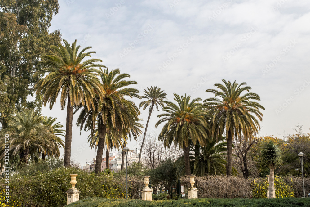 Palms and vegetation of Jardines de Murillo in Seville