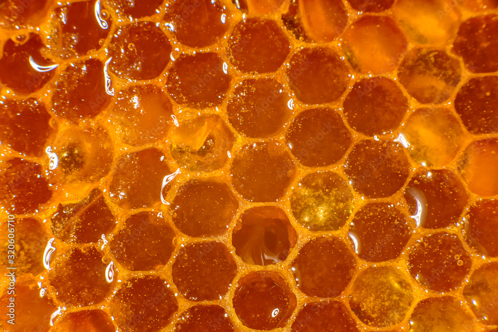 Honey close-up. Amber sweet honey in honeycomb. Transparent honey flows down the honeycomb