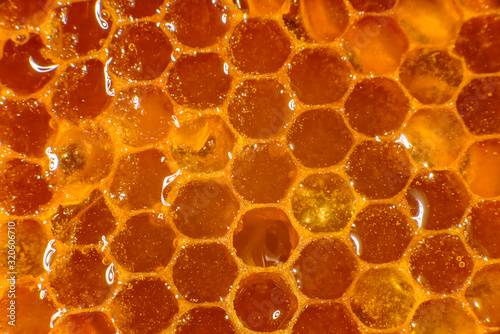 Honey close-up. Amber sweet honey in honeycomb. Transparent honey flows down the honeycomb