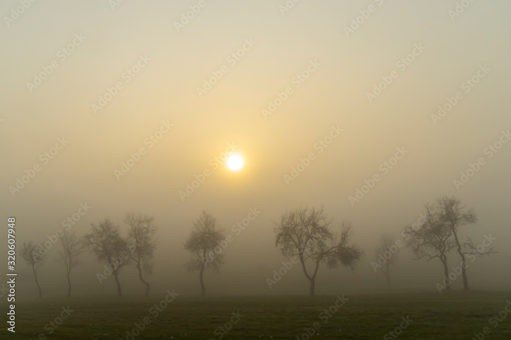 Foggy sunrise in northern Hungary