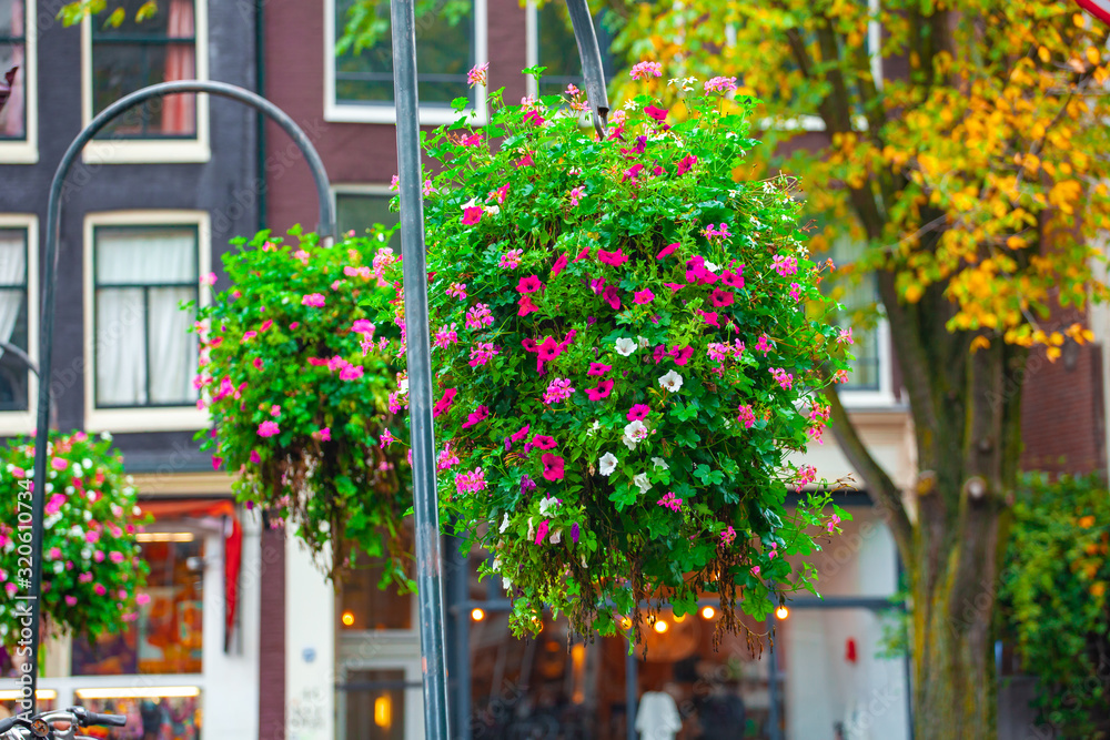 Amsterdam, bridge decorated with a bush of beautiful ornamental flowering plants