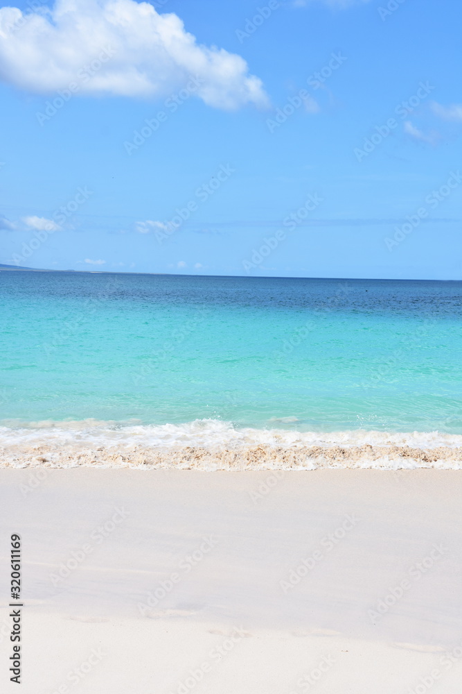 Sandy tropical beach and blue turquoise ocean water under blue sky