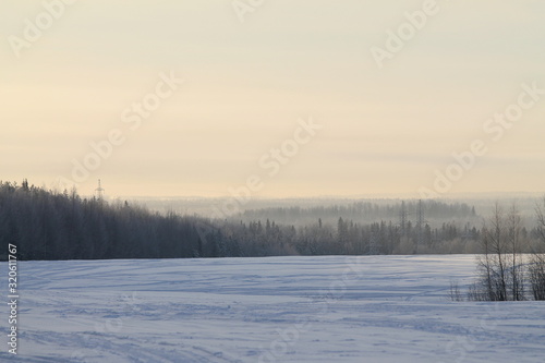 Winter nature landscape with snowy field, forest and gray sky © Stanislav