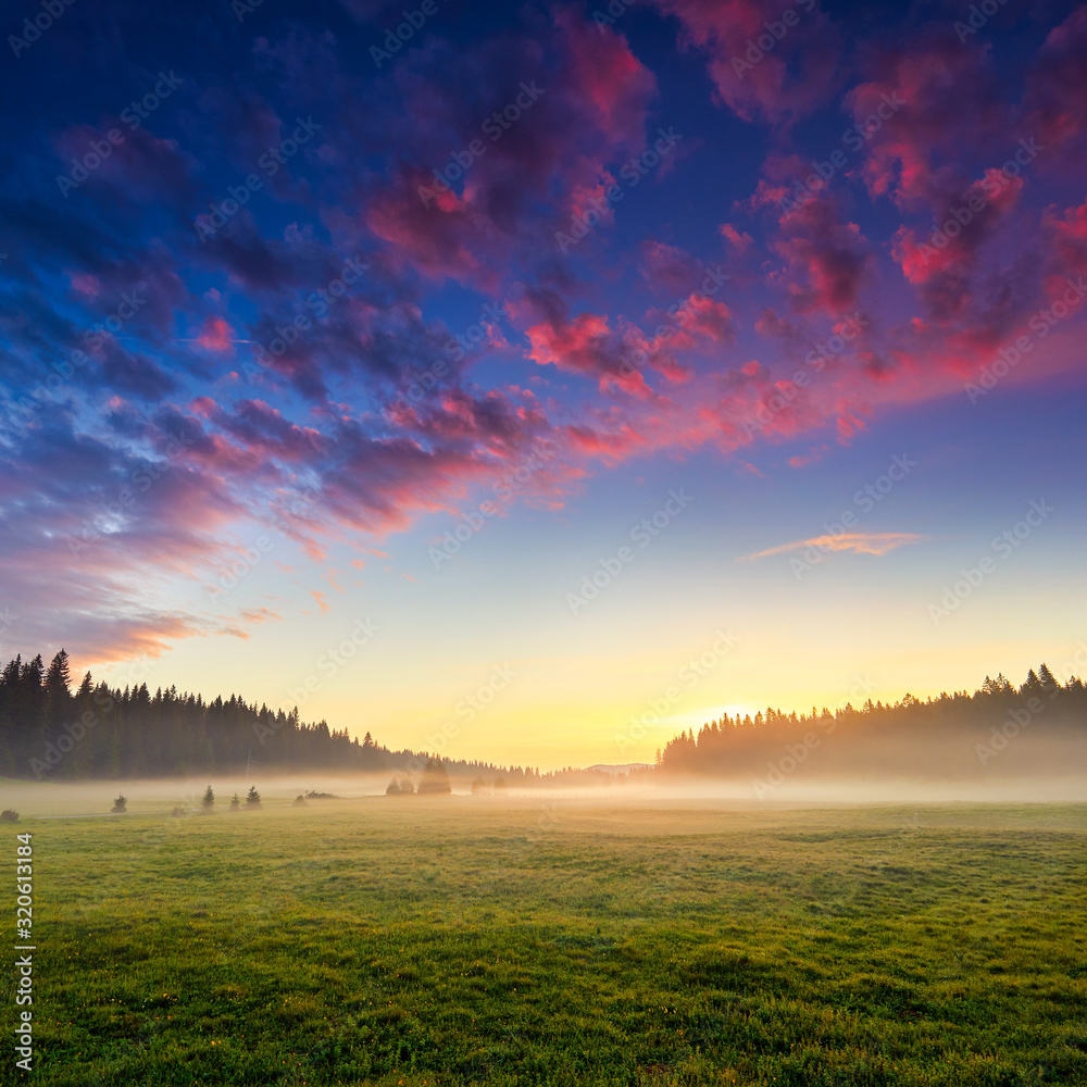 Fototapeta premium Amaizing sunrise view on Durmitor mountains, National Park, Mediterranean, village Zabljak, Montenegro, Balkans, Europe. Strange misty pasture in the sunlight. Bright summer view on alpine valley.