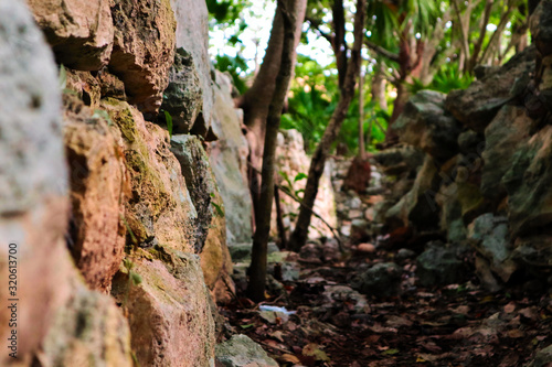 Wall of an ancient Mayan ruin surrounded by jungle with path in the background