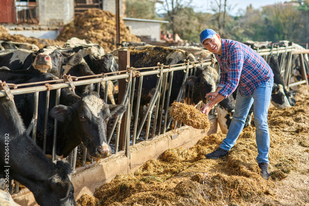 Portrait of a man on livestock ranches. Portrait of a man on livestock ranches.