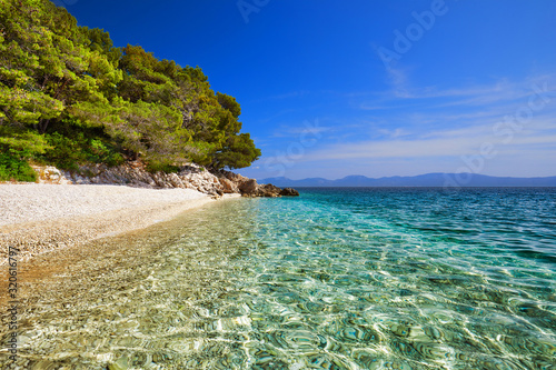 Amazing seascape of Adriatic sea. Luchica beach Croatia, Europe. Colorful summer view of small beach. Croatian coast with clear water and pine trees around. Tropical viewpoint for design postcard.